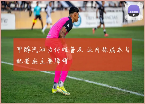 甲醇汽油为何难普及 业内称成本与配套成主要障碍