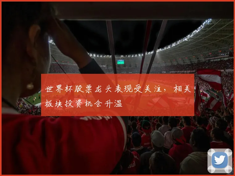 世界杯股票龙头表现受关注，相关板块投资机会升温