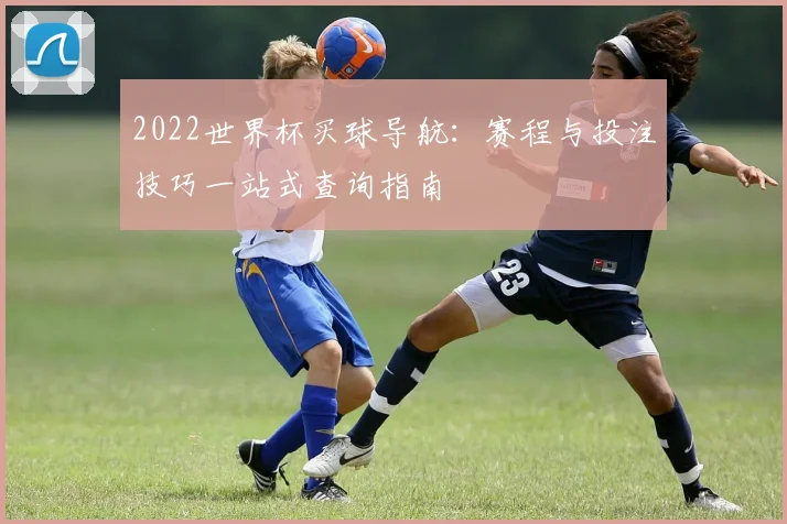 2022世界杯买球导航：赛程与投注技巧一站式查询指南