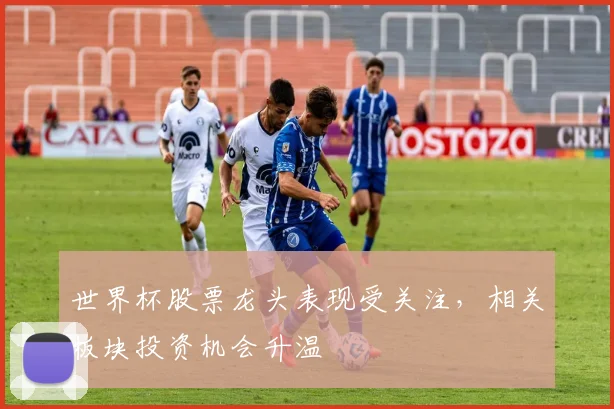 世界杯股票龙头表现受关注,相关板块投资机会升温